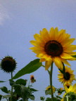 d0067640_1864234.jpg