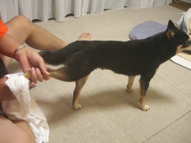 e0025240_95616.jpg