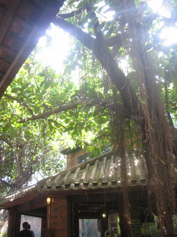e0018143_241477.jpg
