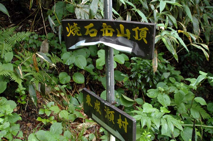 c0077847_2017542.jpg