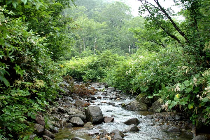 c0077847_20183544.jpg