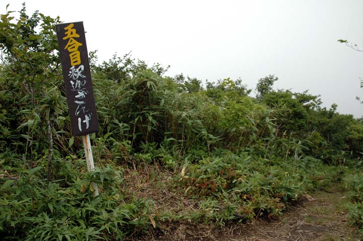 c0077847_2018769.jpg