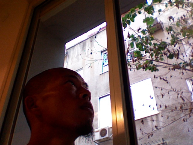 f0118450_1155685.jpg