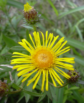 a0001354_19562053.jpg