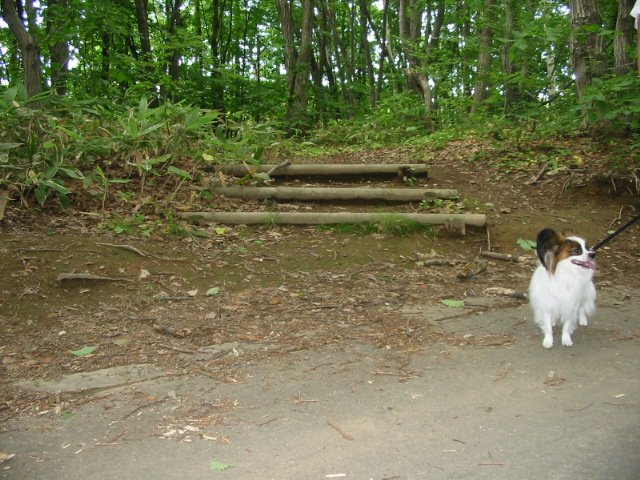f0122259_20332561.jpg