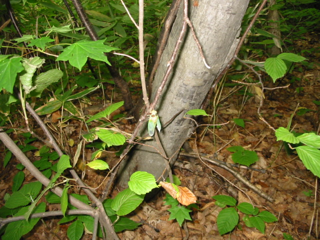 f0122259_20355845.jpg