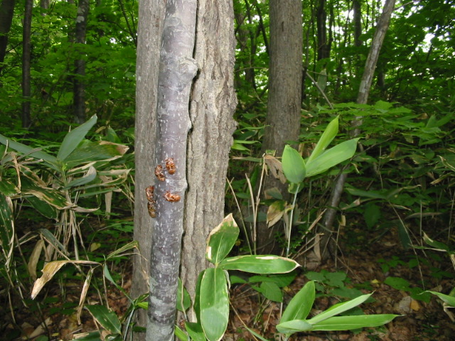 f0122259_20382630.jpg