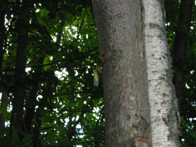 f0122259_20401321.jpg