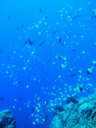 b0062363_2213378.jpg