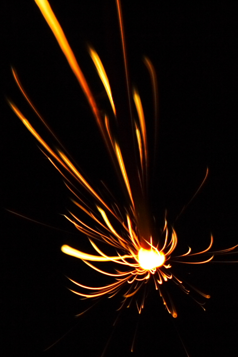 b0027267_135521.jpg