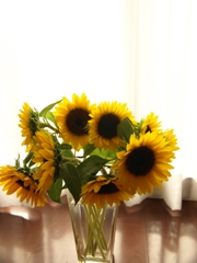c0102268_2033089.jpg
