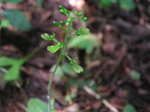 c0042869_21133052.jpg