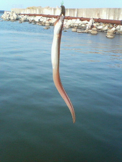 a0047175_21493699.jpg