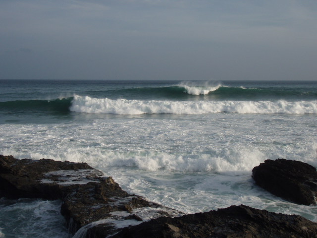 e0125483_134539.jpg