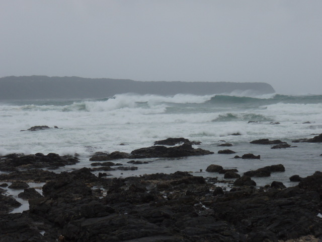 e0125483_24547.jpg