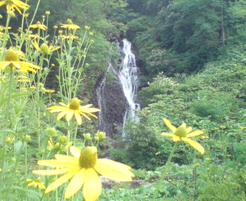 f0137483_715924.jpg