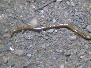 c0123890_22112272.jpg