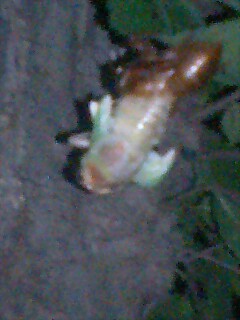 c0123890_2213462.jpg