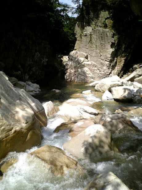 d0054692_19404645.jpg