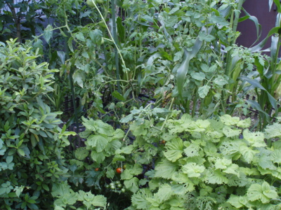 f0130894_2231765.jpg