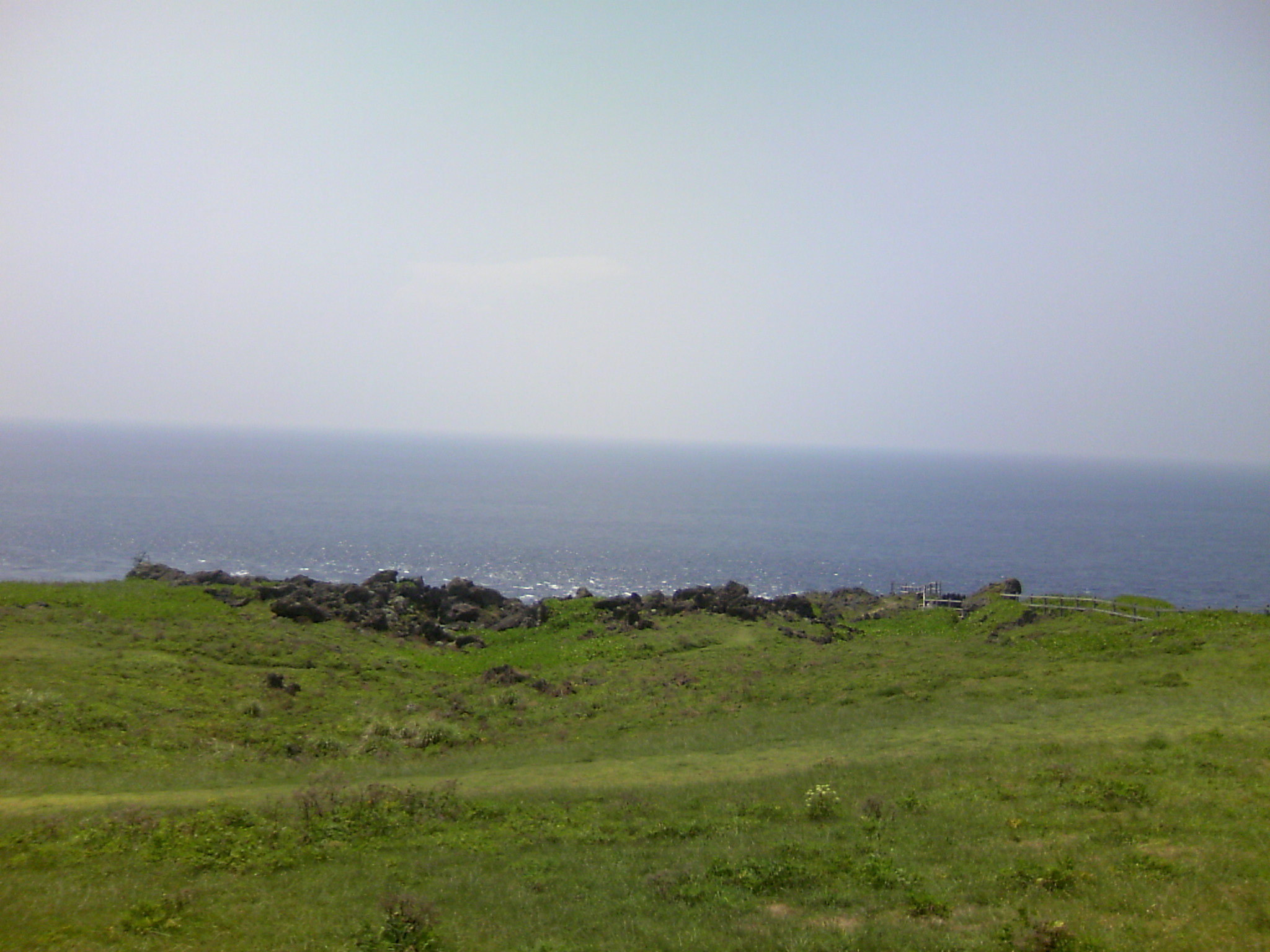 c0077897_1395027.jpg