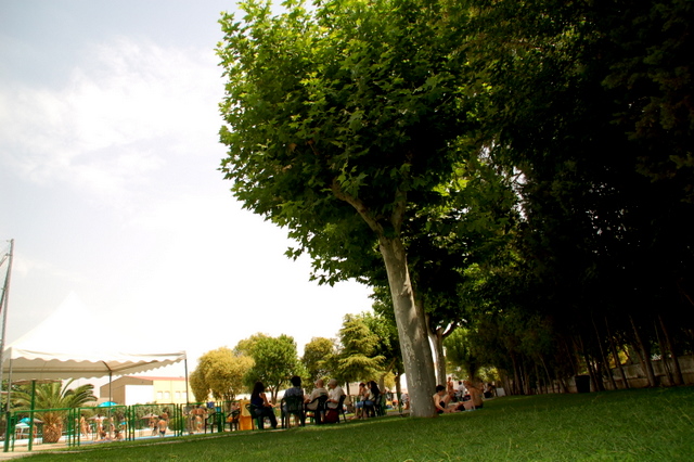 e0061699_755087.jpg