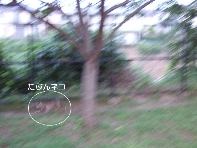 b0087400_2342979.jpg