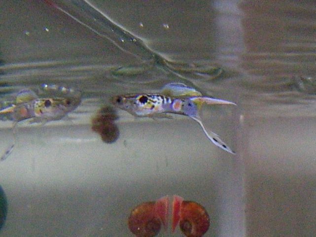 e0010301_16483780.jpg