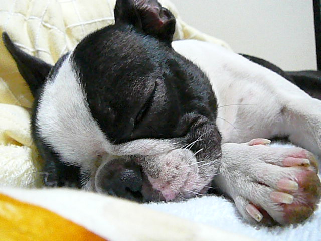d0070702_11474131.jpg