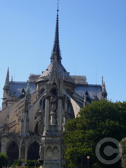 a0008105_146910.jpg