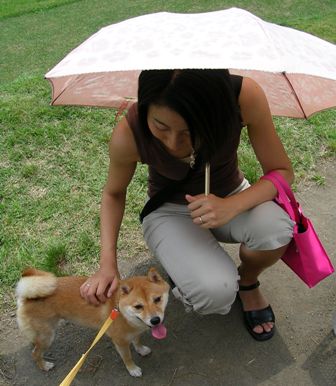f0004309_9515412.jpg