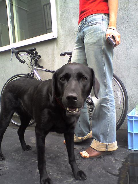 c0129317_20584349.jpg