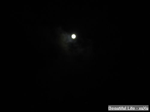 d0005621_2205913.jpg