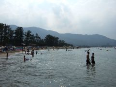 d0041124_10111245.jpg