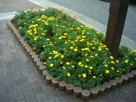 d0065324_1825967.jpg