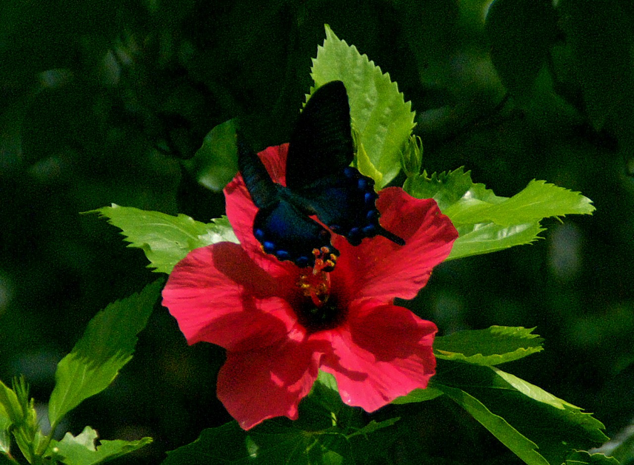 d0053930_19103653.jpg