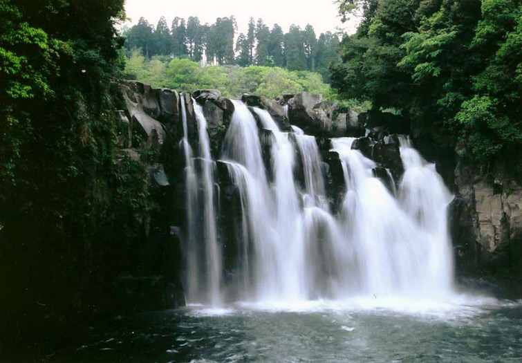 d0088332_8541358.jpg