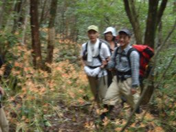 c0077338_6443462.jpg