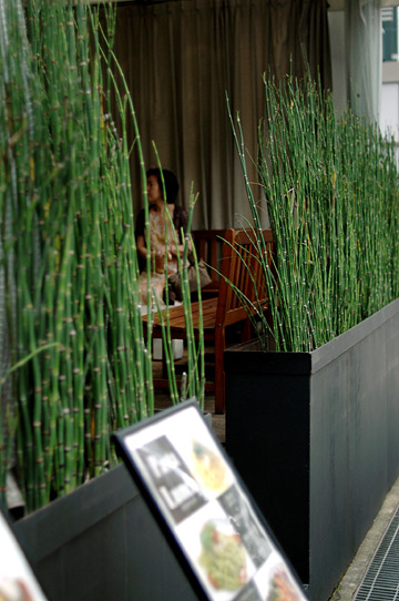 d0008146_1481760.jpg