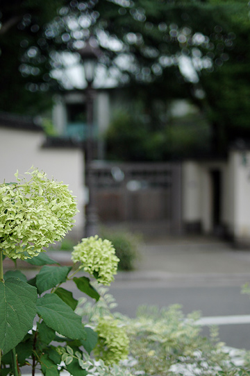 d0008146_1511823.jpg