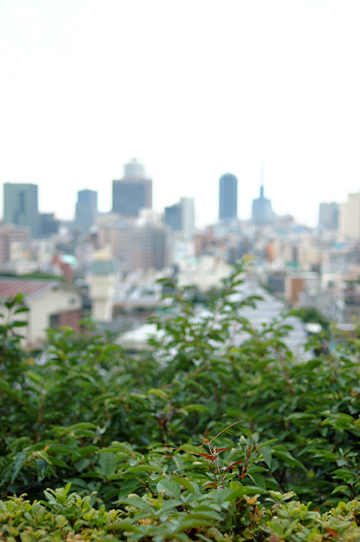 d0008146_3404015.jpg