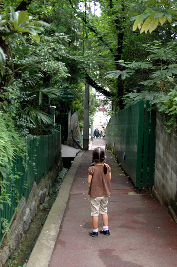 d0008146_722728.jpg