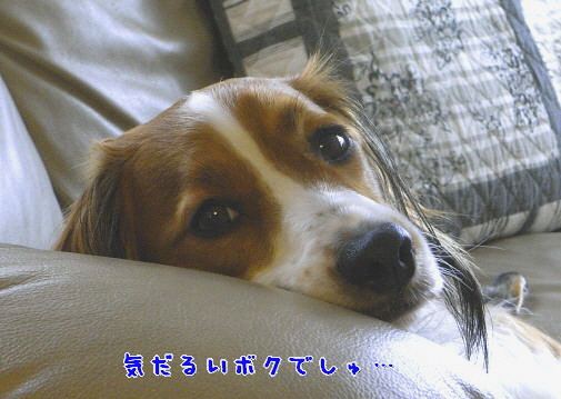 d0013149_02846.jpg