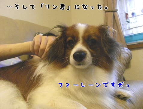 d0013149_0284722.jpg