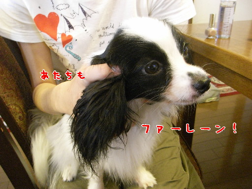 d0013149_036685.jpg