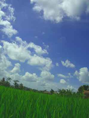 a0007651_071957.jpg