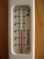 c0003752_1494434.jpg