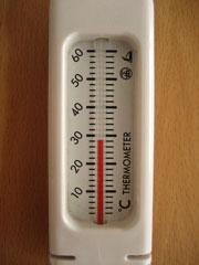c0003752_1495696.jpg