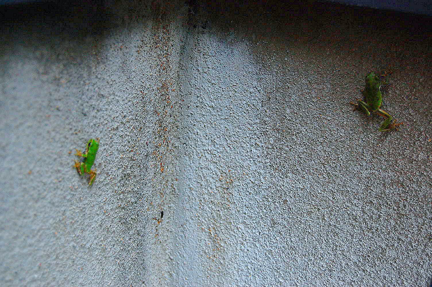 b0112758_19591147.jpg