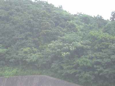b0104861_20273891.jpg